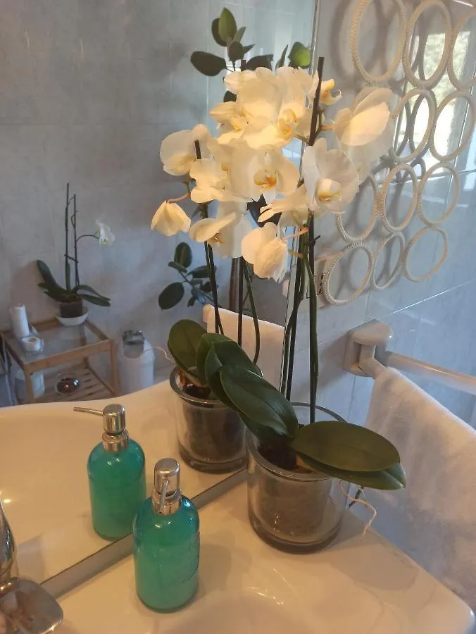 Luce Hotel Lucca Itália